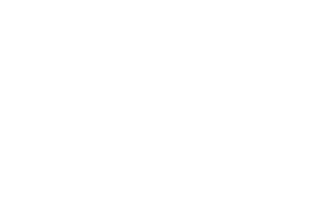 BumperWeb_logo_WHT